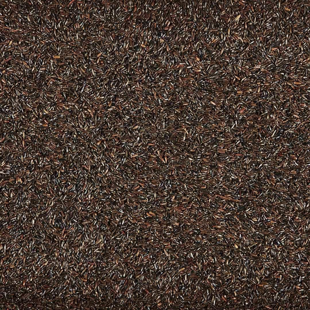 Nyjer Wild Bird Food Seed, 3 Pound