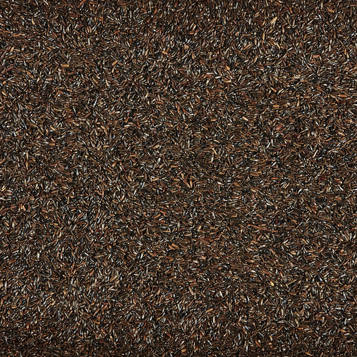 Nyjer Wild Bird Food Seed, 3 Pound