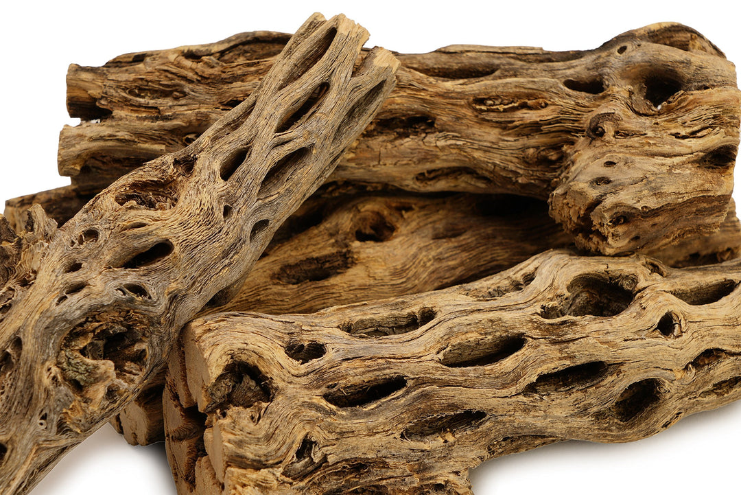 NApremium Natural Cholla Wood | 5 Pieces of 5-6 Long Natural Cholla Wood for Aquarium Decoration, Hermit Crabs, Shrimp