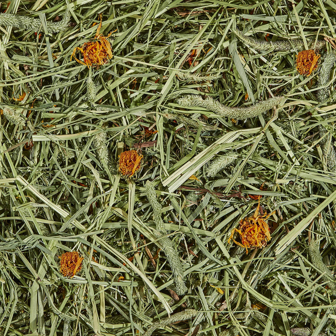 All Natural Timothy Hay Plus Marigolds for Guinea Pigs, Rabbits & Other Small Animals, 24 Ounce