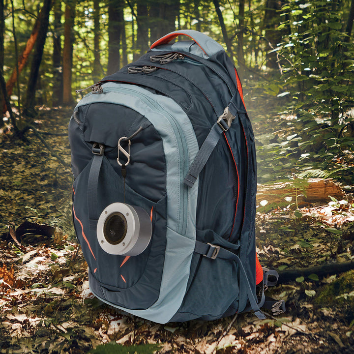 SB234-03-11 S-Biner Carabiner, Assorted, Stainless