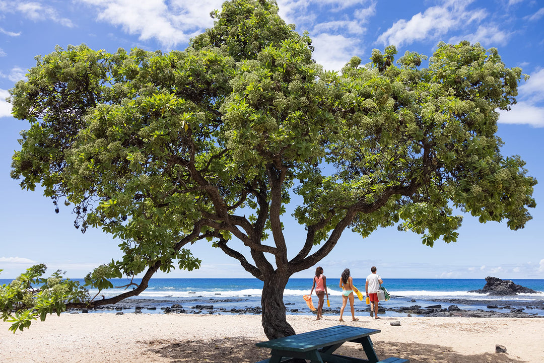 Standard Mouth Bottle with Flex Cap