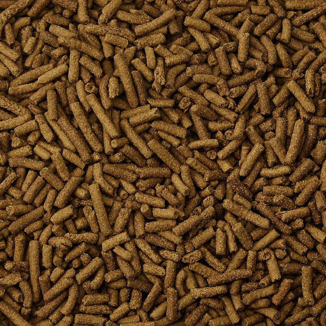 Fortified Premium Pet Ferret Food Grain Free & Gluten Free with Chicken, 4 Pound