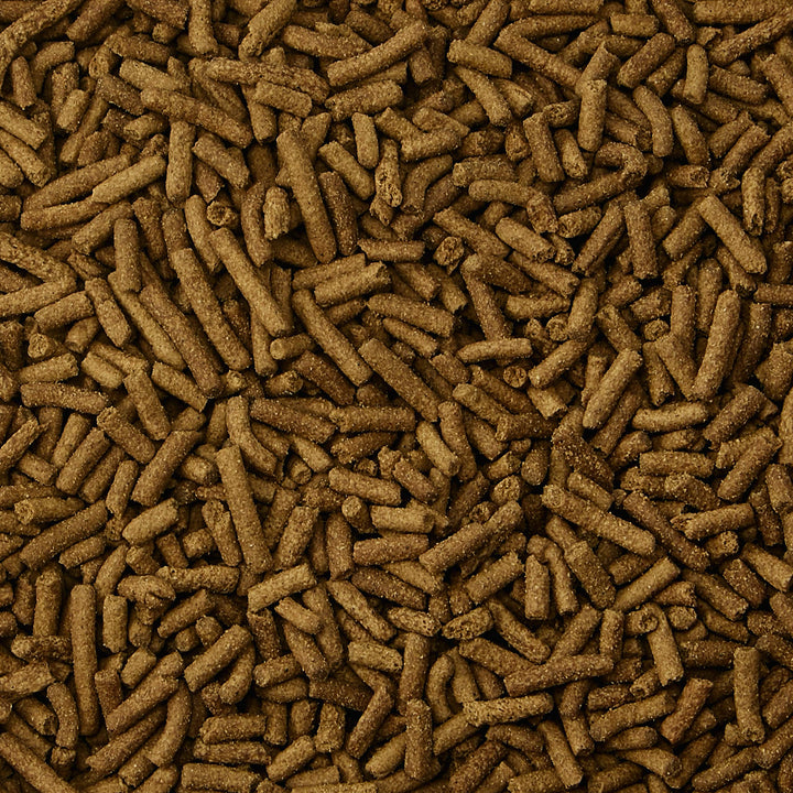 Fortified Premium Pet Ferret Food Grain Free & Gluten Free with Chicken, 4 Pound