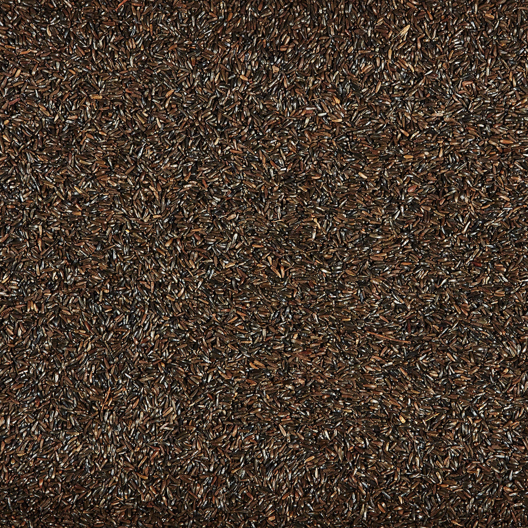 Nyjer Wild Bird Food Seed, 5 Pound