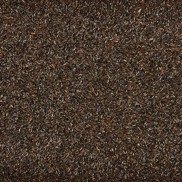 Nyjer Wild Bird Food Seed, 5 Pound