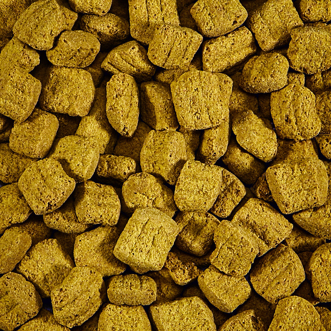 Biscuit Treat For Pet Parrots, 10 oz