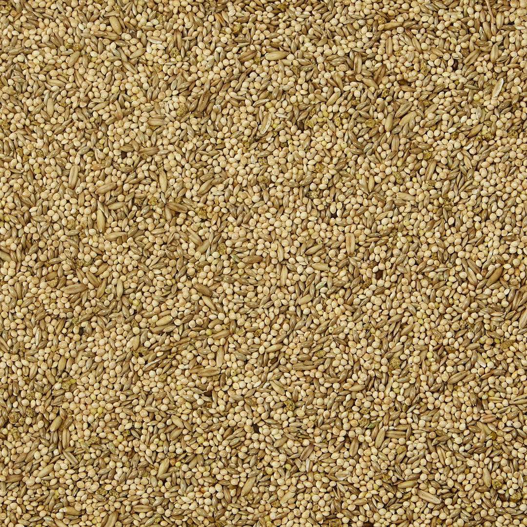 Supreme Bird Food For Parakeets, 5-Lb Bag