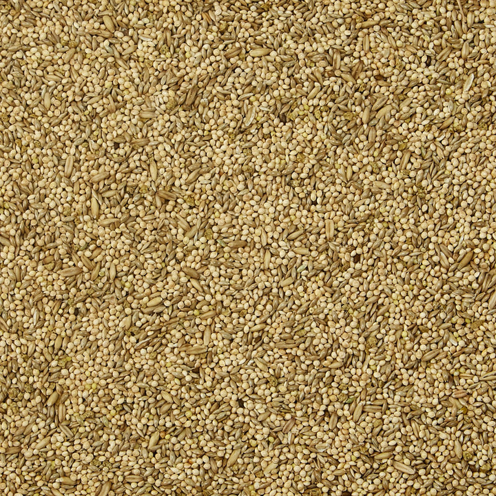 Supreme Bird Food For Parakeets, 5-Lb Bag