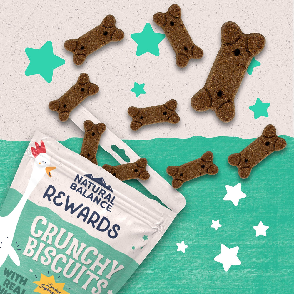 Limited Ingredient Rewards Crunchy Biscuits, Grain-Free Dog Treats for Adult Dogs of All Breeds, Chicken & Sweet Potato Recipe, 14 Ounce (Pack of 1)