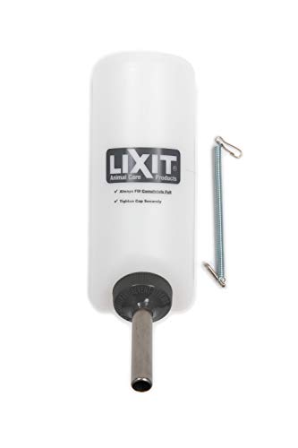 Wide Mouth Water Bottles for Large and Small Dogs (32oz Large Dog, White)