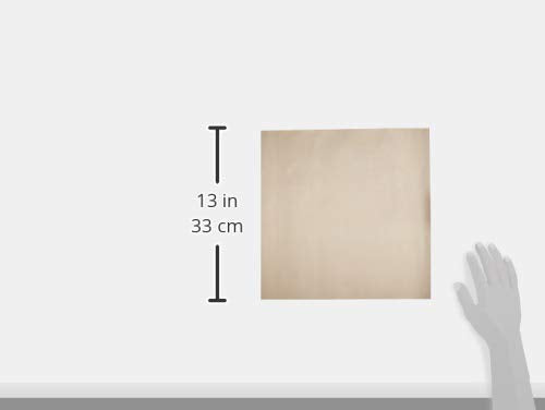 10-Pack Flexible Reusable and Resizable Non Stick Teflon Food Dehydrator Sheets, 14x14-Inches