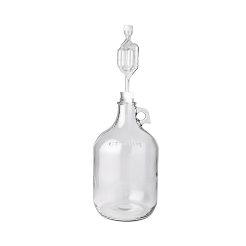FastRack Glass Wine Fermenter Includes Airlock, 1 gallo