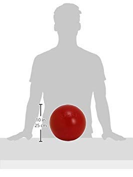 Push-n-Play Ball Dog Toy, 10 Inches/Large, Red (310 RD)