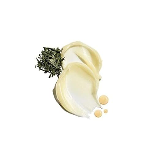 Intense Therapy Lip Balm, 0.25-Oz. – Natural Mint &amp; Shea Butter, SPF 25 Sun Protection, Lip Moisturizer, Hydrating Lip Balm with SPF, Long Lasting Treatment