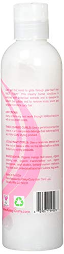 Kinky-Curly Knot Today Leave In Conditioner/Detangler - 8 oz