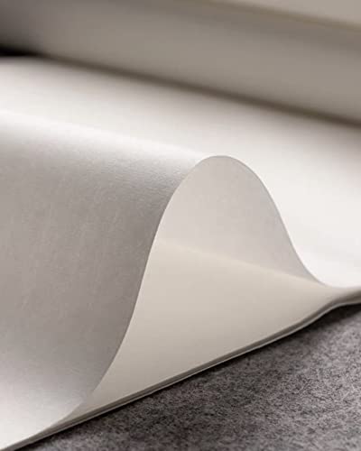 Chinese Japanese Calligraphy Sumi-e Writing Gongbi Drawing Practice Xuan Rice Paper No Grid 100 Sheets – 34 x 68cm (13.4 x 27.8 inch), Shu (Ripe) Xuan Paper