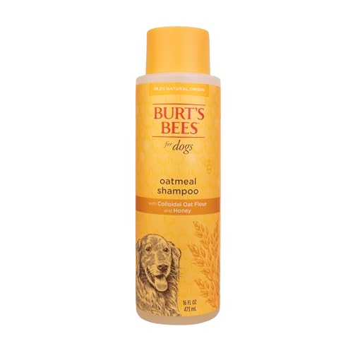 Burt&#39;s Bees for Pets Oatmeal Dog Shampoo with Colloidal Oat Flour and Honey, 95% Natural Origin Formulas, Shampoo for Dogs - Gentle Dog Shampoo, Best Dog Shampoo, 16 oz