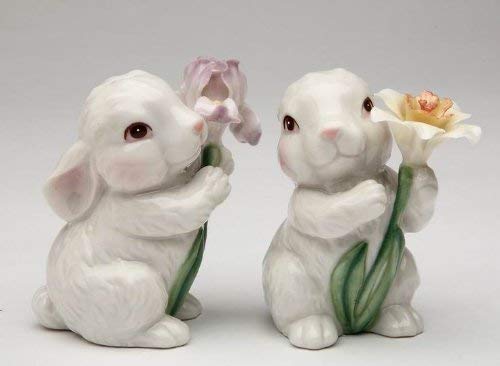 Designs Cosmos 10588 Salt &amp; Pepper Shaker, 1 3/8 X 2 7/8&amp;Quoth, White
