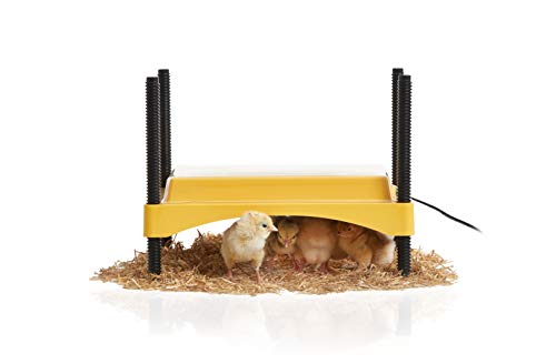 Ecoglow Safety 600 Chick or Duckling Brooder, Adjustable Height & Angle Brooder Plate for 20 Chicks, Ideal for Chicken Coops Poultry Heating with Safety Indicator, 12 Watts