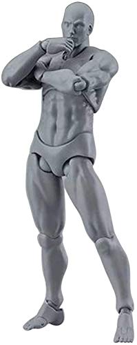 Body Kun Doll, Artists Manikin Blockhead Jointed Mannequin Drawing Figures for Figure Model Male+Female Set (Gray)