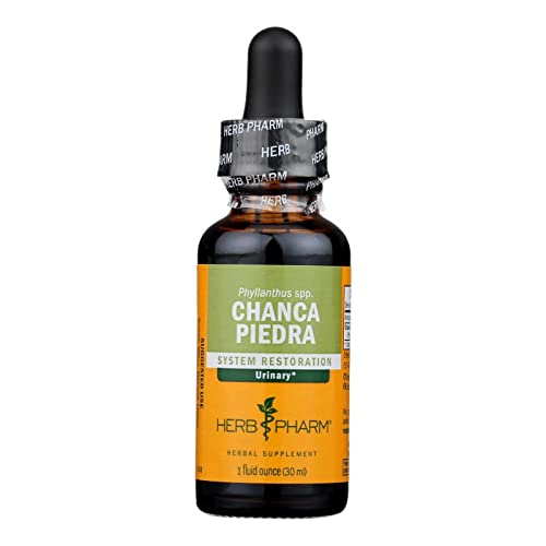 Chanca Piedra Liquid Extract for Urinary System Support, 1 Fl Oz