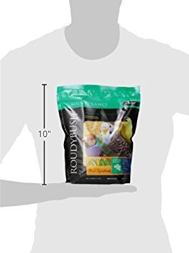 Roudybush Daily Maintenance Bird Food, Nibles, 44-Ounce