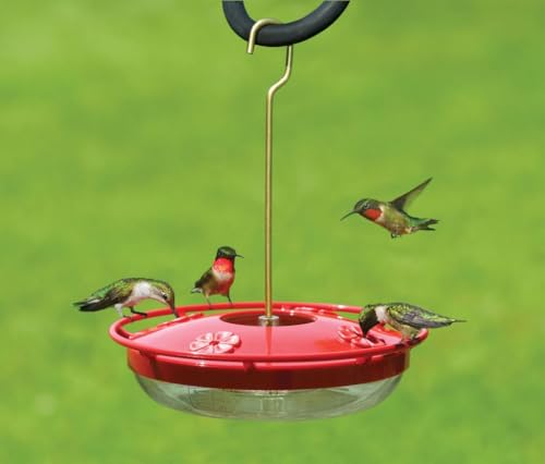 Aspects HummZinger HighView 12 Oz Hanging Hummingbird Feeder - 429, Red