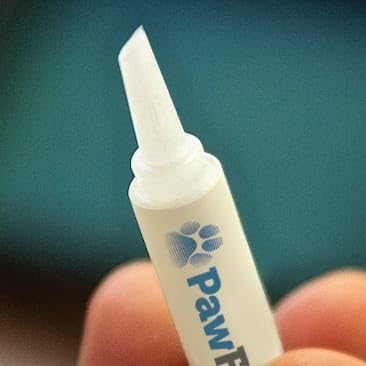 - Instant Traction for Senior and Special Needs Dogs; Vet-Developed Paw Grip Kit to Reduce Slipping, Build Confidence and Restore Quality of Life.