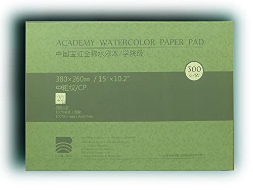 Academy Grade Watercolor Block, 100% Cotton, Acid-Free, 140LB/300GSM, Cold Press Textured, 20 Sheets per Block (Cold Press 15x10.2)