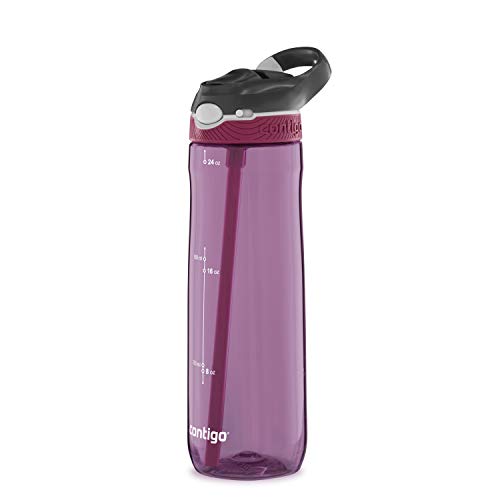 Ashland Water Bottle, 24oz, Passion Fruit
