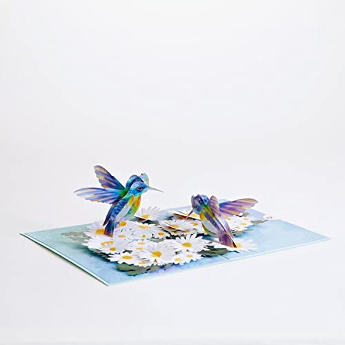 Daisy Patch Hummingbirds Pop-Up Card, 5 X 7 Inch, Valentine&#39;s Day Gift, Cards for Mom, Thinking of You, Love Card
