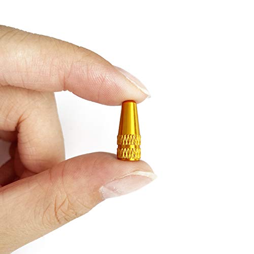 Winorda 40 Pieces 10 Colors Bike Tire Valve Stem Caps Aluminum French Bicycle Air Tire Caps Bike Valve Caps Presta Valve Caps Alloy
