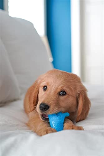 Dental Dinosaur Power Chew Toy for Puppies, Puppy Toys for Teething & Chewing, Chicken Flavor, Small - Up to 25 lbs, 1 Count