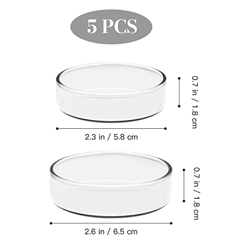 Petri Dishes with Lids Glass Petri Dishes Culture High 