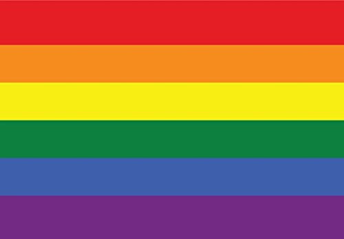 Rainbow LGBT Gay Pride Flag Car Magnet - 4x6 All Weather Magnet (Rainbow Pride Flag)
