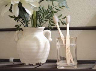 Blue Ocean Natural Bamboo Toothbrush Eco-Friendly, Soft
