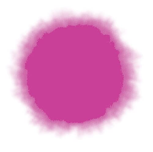 S.E.I Desert Magenta Tie Dye Spray Bottle, 2- Ounces, F