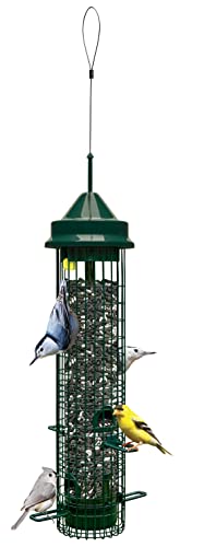Classic Squirrel-proof Bird Feeder w/4 Feeding Ports, 2.4-pound Seed Capacity