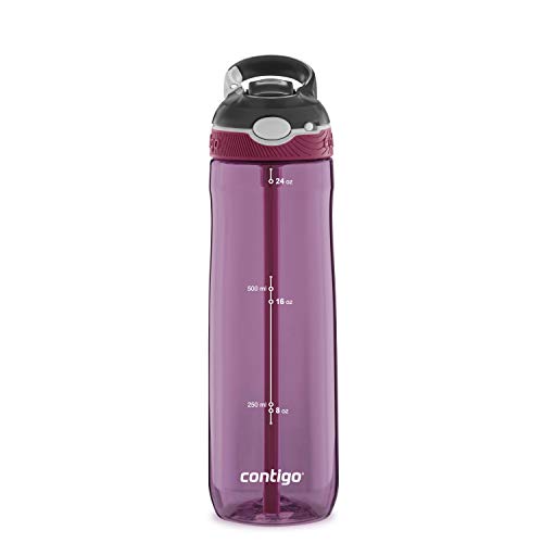Ashland Water Bottle, 24oz, Passion Fruit