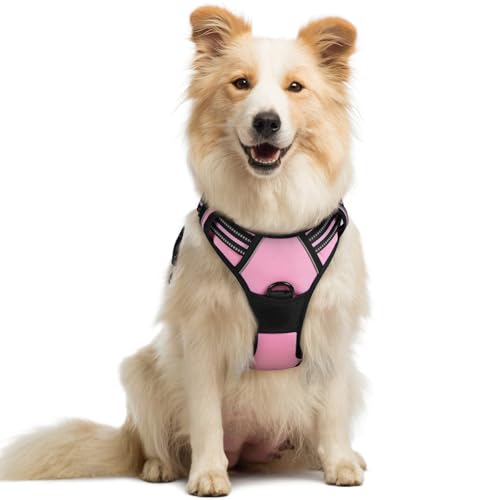 Dog Harness No Pull with 2 Leash Clips, Adjustable Soft Padded, Reflective Oxford No Choke Pet Vest with Easy Control Handle for Medium Sized Dogs, Pink, M