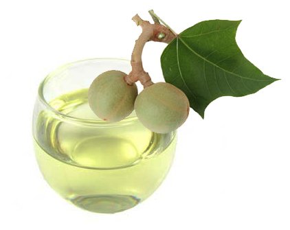 100% Organic Kukui Nut Oil | Imported From Hawaii | 2oz Glass Bottle | Glass Dropper | Natural Moisturizer for Skin, Hair and Face | By
