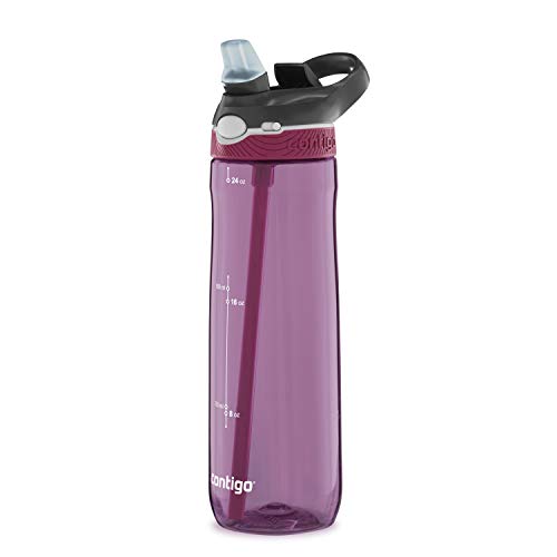 Ashland Water Bottle, 24oz, Passion Fruit