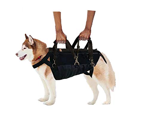 5-in-1 Dog Support Harness - Full Body Lift Harness Support Sling Padded Vest Back Brace - Great for Pet Mobility, Hip & Joints, Back Support, Anxiety by Neoally (X-Large)