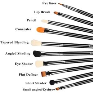 Silky 10Pcs Eyeshadow Makeup Brush Set Essential Eye Makeup Brushes Kit