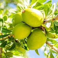 Instant Repairing Mask 100ml