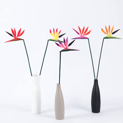 Rikyo Artificial Flowers 6Pcs Bird of Paradise 23 Perma