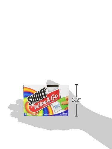 Shout Wipe &amp; Go 12Ct Wipes 4 Pack, Multicolor,1