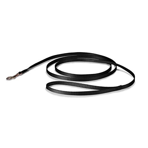 Nylon Dog Leash – Strong, Durable, Traditional Style Leash with Easy to Use Bolt Snap for Small, Medium and Large Dogs – 3/8 x 6', Black
