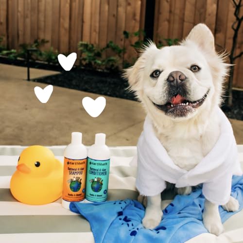 Oatmeal &amp; Aloe Dog Shampoo - Oatmeal Shampoo for Dogs, Dry Itchy Skin Relief, Hypoallergenic Anti Itch Puppy Shampoo for Sensitive Skin, Tear Free Pet Wash - Vanilla &amp; Almond, 16 oz (2 Pack)